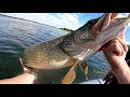 РАЗДАЧА КРУПНОЙ ЩУКИ! Трофейная РЫБАЛКА с ЛОДКИ! ВОТ ЭТО ОНИ ПРУТ! Pike Fishing!   Часть: 2