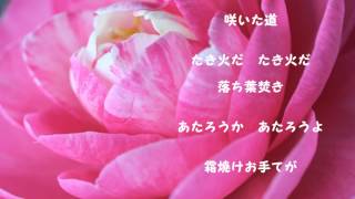 【保育】11月におすすめの歌・童謡。たのしい秋の手遊び歌