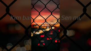 Soner Sarıkabadayı Resimi