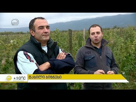 ყველაზე დიდი ჟოლოსა და მაყვლის ბაღი საქართველოში