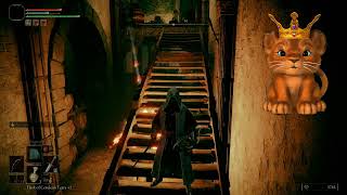 Are these Explosive Barrels -Elden Ring Clip!