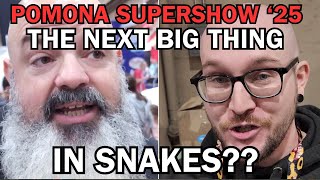 What do YOU think SHOULD be the next BIG thing in snakes? Did the experts at the Supershow nail it?