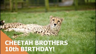 Happy birthday Bajrami, Keene and Martin!