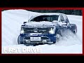 Ford F-150 Lighting in EXTREME Winter Conditions - Can This EV Truck It Handle It?