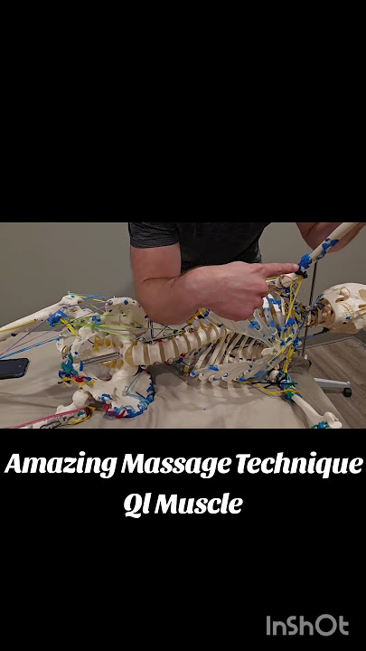 How to get relief from lower back pain. Massage techniques for QL Muscle