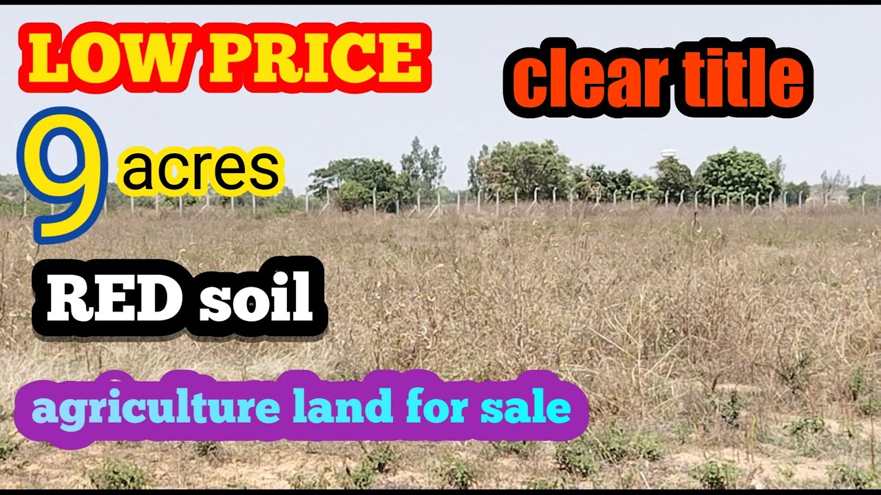 9 acres agriculture land for sale village👉gourayapally👉mandal👉kondapaka