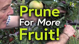 How to Prune Apple Cordons for Maximum Fruit | Step-by-Step Guide - Pots & Trowels screenshot 1