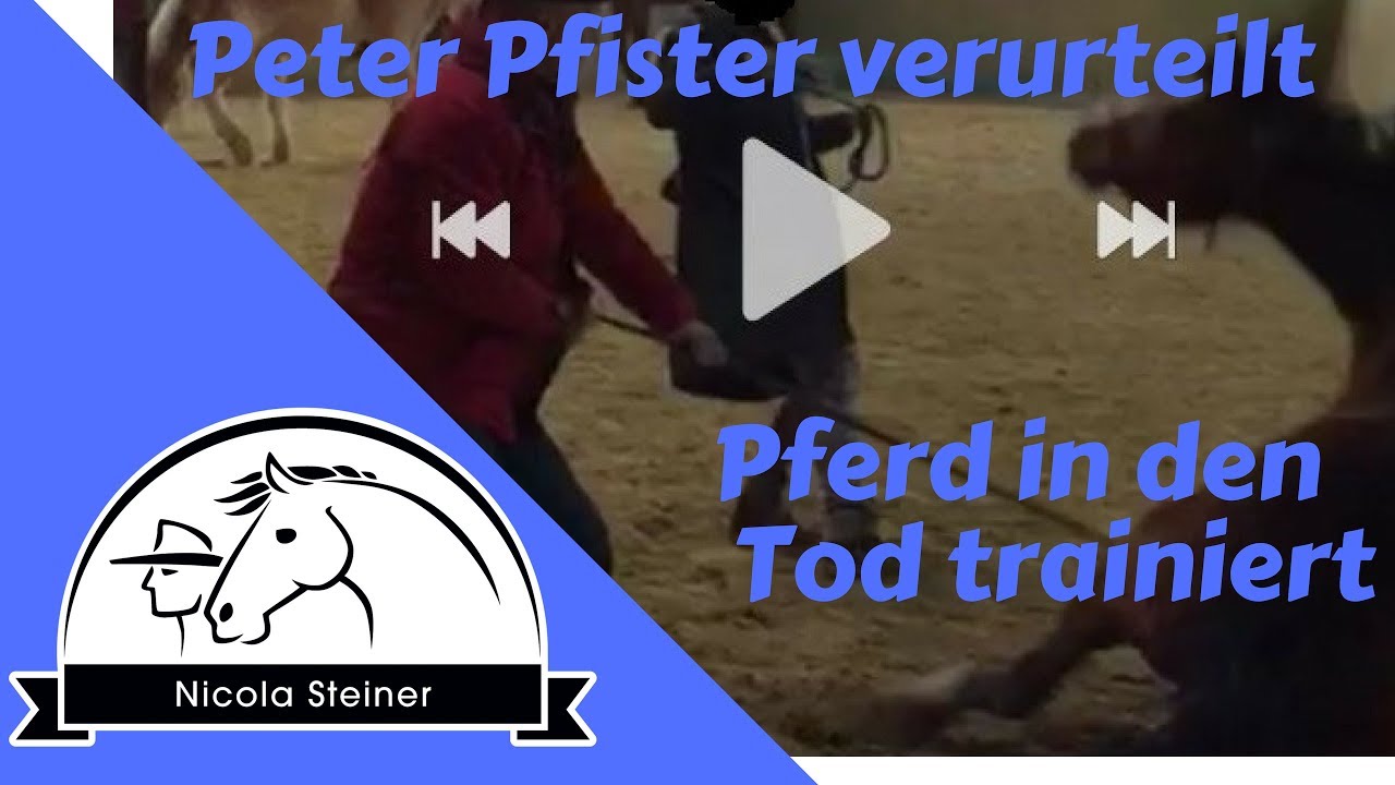 Pferd tot: Strafbefehl gegen Pferdetrainer Peter Pfister ist rechtskräftig | Tierquälerei