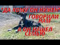 ПОПОЛНЕНИЕ В КУРЯТНИКЕ | Нашли семью щенку | ЖИЗНЬ В ДЕРЕВНЕ  #жизньвдеревне #пополнениевкурятнике #