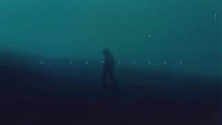 diedlonely - bipolar (ultra Slowed  Net Worth
