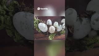 DIY Easter Wreath 🐰🌸 | Easy Crochet &amp; Craft Idea for Spring Decor | Moara Crochet