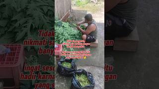 Story wa viral jangan mengeluh #shorts #storywa #motivation #inspiration #shortvideo