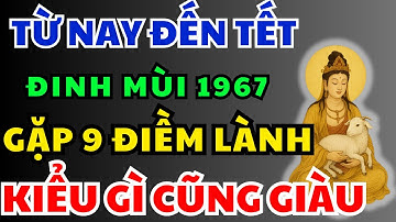 Đinh Mùi 1967 Chớ Bỏ Qua: 9 Dấu Hiệu Bí Ẩn Từ Nay Đến Tết–Tổ Tiên Về Phù Hộ, Con Cháu Hưởng Phước !
