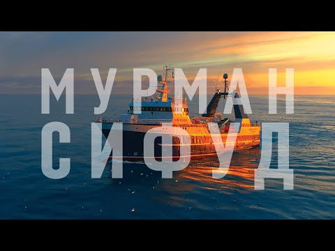 Мурман СиФуд