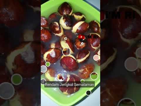 Resep Jengkol Agar Tidak Bau Dan Empuk