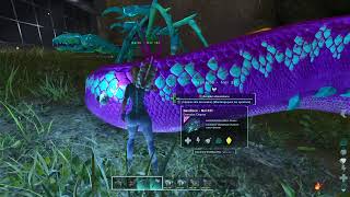 ARK SURVIVAL ASCENDED / PvE server oficial 🦕🦖🦕🦖🦕🦖🦕