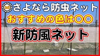 【イチジク栽培】防虫ネットから防風ネットへ