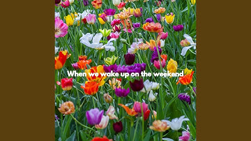 Amazing Moods for Forgetting Summer