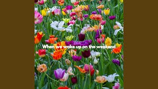 Amazing Moods for Forgetting Summer