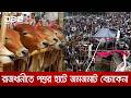 রাজধানীতে কোরবানির পশুর হাটে জমজমাট বেচাকেনা | DBC NEWS