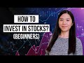 Stock Investing Basics Guide for Beginners | Stock Market Basics You Need to Get Started