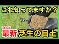 新しい芝生の目土ができました!