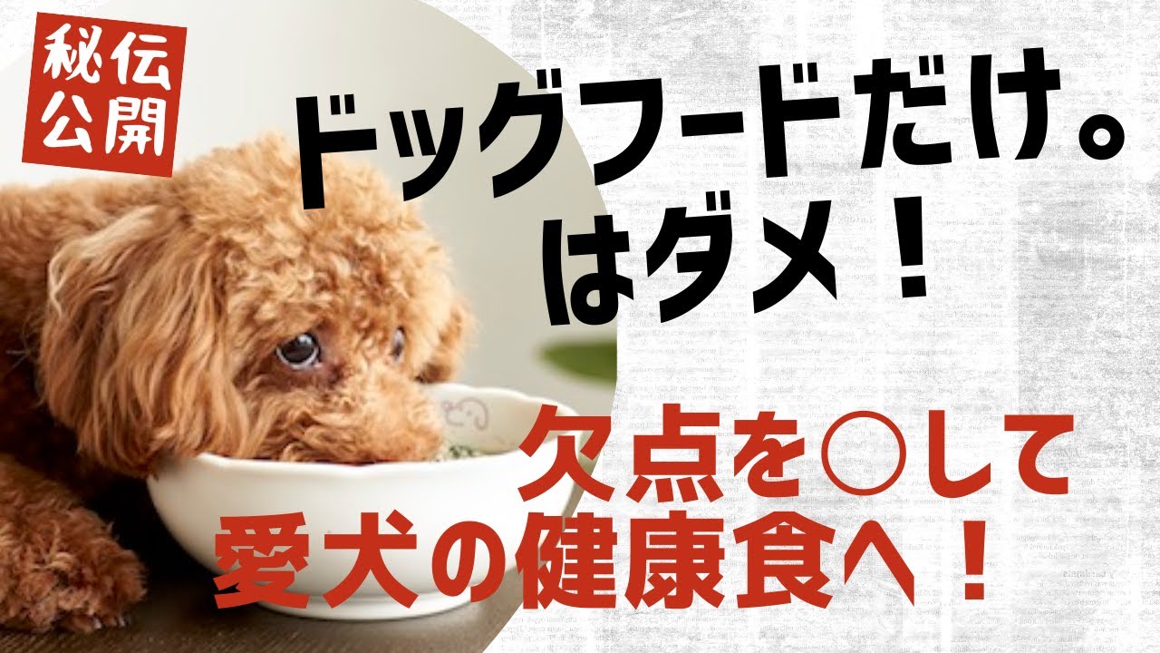 1999年創業日本初愛犬のエコショップecodogナチュラルナース【無添加