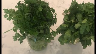 The Health Benefits Of Herbs And Spices
