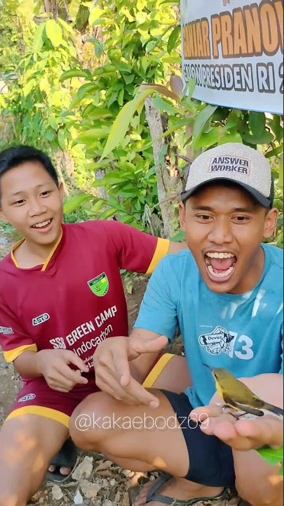 PIKAT BURUNG KOLIBRI KECREK PAKE BERAS.... CUKURUKUKK
