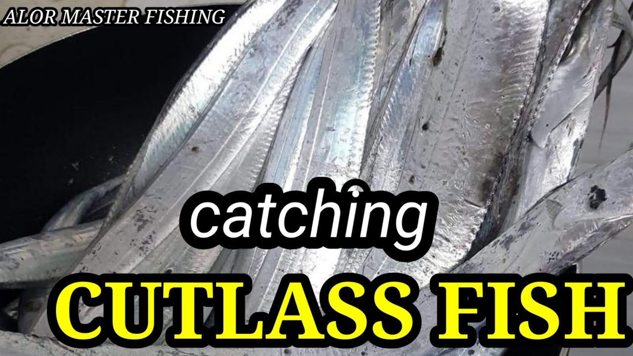 Catching CUTLASS FISH at Night (Ribbonfish)