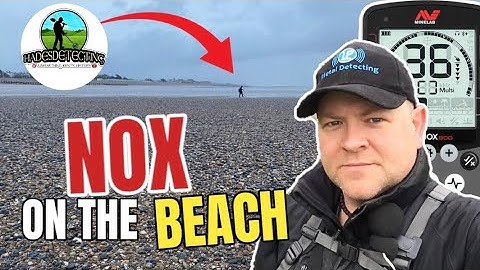 EQUINOX BEACH METAL DETECTING
