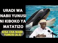 Uradi Wa Nabii Yunusi Ni Kiboko Ya Matatizo Kisa Cha Nabii Kumezwa Na Samak Sheikh Hashimu Rusaganya 