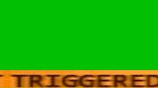 TRIGGERED [GREEN SCREEN EDITION]