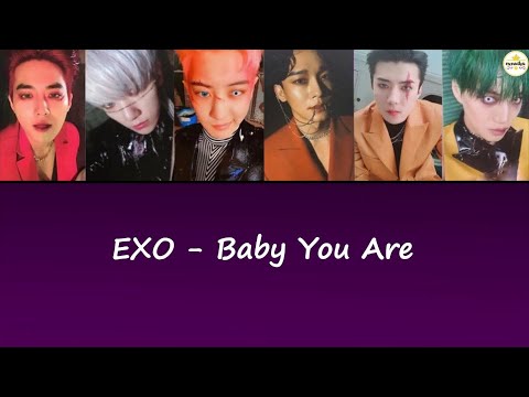 [TR] EXO - Baby You Are