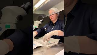 Laboratuvar sorumlumuz Merve Hanım ile Embryo transfer gününe kısa bir bakış! 🌿✨