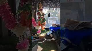 aaj to gadi ke leptop gha diya #driverlife #shortsfeed #ytshorts