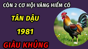 Còn đúng 2 ngày vàng hiếm có trong nửa đầu tháng 10 âm lịch cho tuổi tân dậu 1981 trúng số độc đắc 