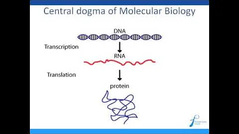 Epigenetic biomarkers - Promising tools in prostate cancer