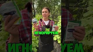 Как правильно подготовить дачный участок к осени
