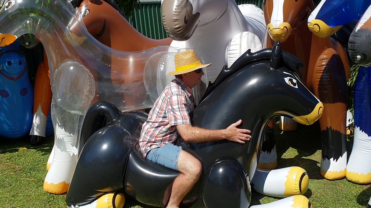 Black Inflatable Horse Ride 2 - YouTube