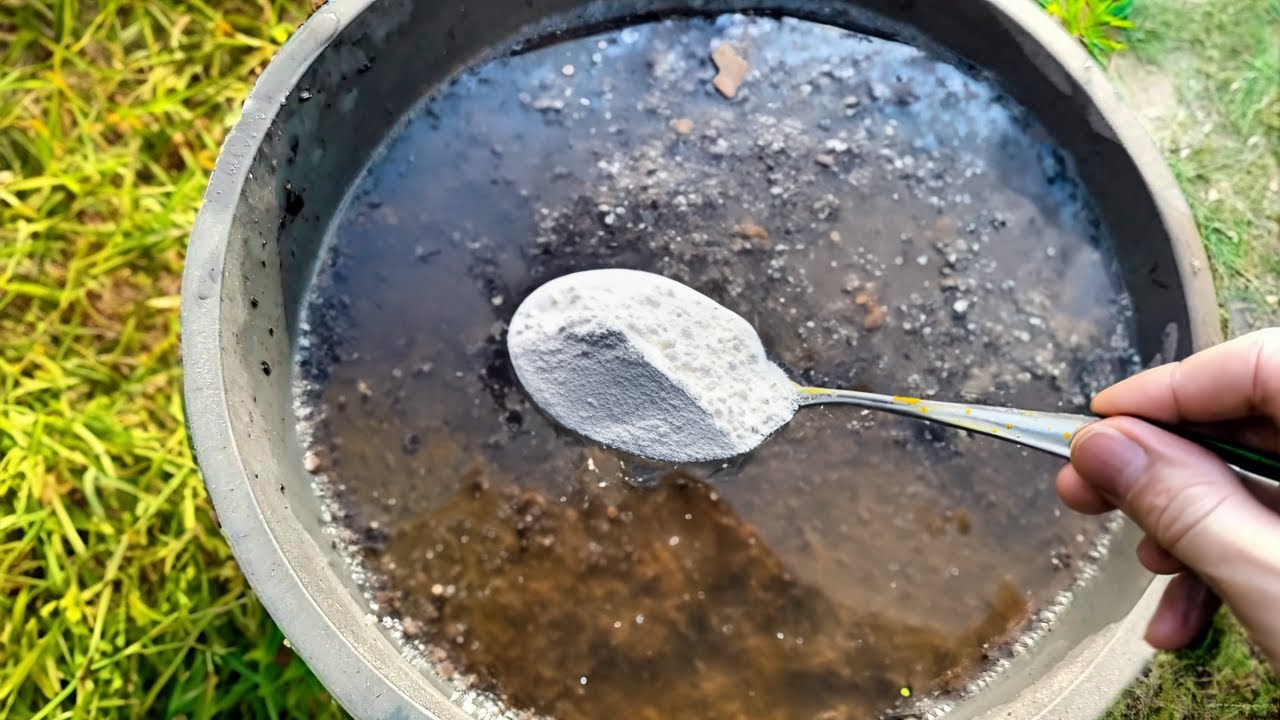 1 ложку на ведро воды и земля как новая, плодородная, живая, для большого урожая на года! 5 рецептов