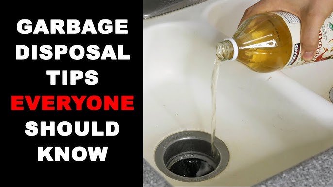 How to Deep Clean Your Garbage Disposal • Everyday Cheapskate