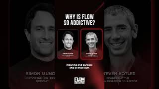 Why Is FLOW So ADDICTIVE?