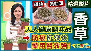 【健康好生活 超精彩回顧】天然健康調味品義大利料理的靈魂 「香草」 /// 「香蒜薄荷透抽」、「薄荷茶」、「香草養生湯+香草濃湯」、「義式BBQ果香烤醬」+BBQ排餐