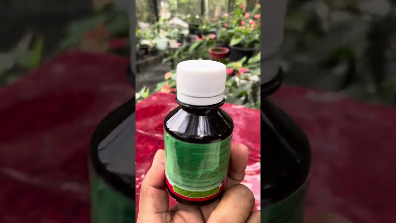 පැල වර්ධනයට හා ඵලදායී වර්ධකයට