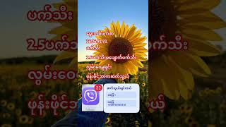 #ဆရာလွ #ph +959755186418#gaming #ဖုန်းမဆက်နဲ့ဖိာင်ဘာကိုလာ