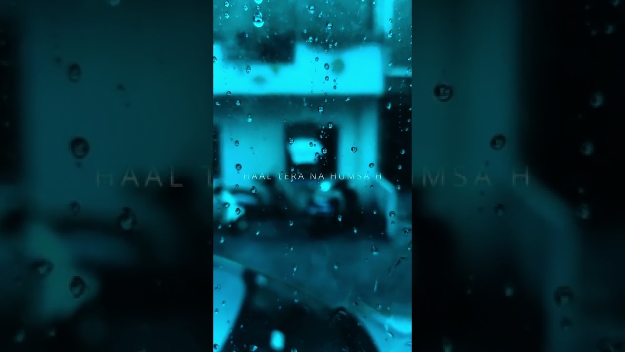 WORLD'S BEST VIDEO