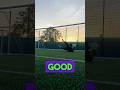🧤Amateur & Pro | #goalkeepertraining | End of session blow! Handling footwoork #shorts #gk #goalie