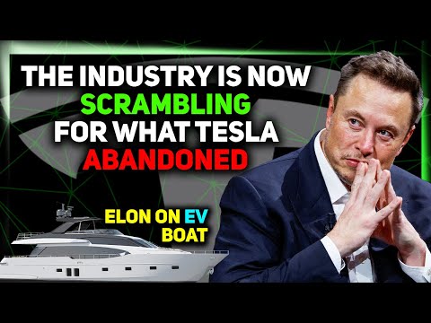 Tesla Makes Product for Competitor / Unique Tesla Partnership / Major Chinese FSD Expansion