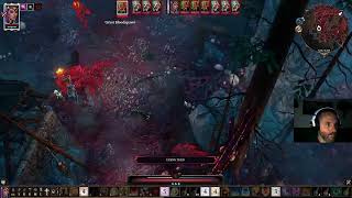 Divinity: Original Sin II Solo Virkdn, Lrm and Myrvel, and Gryst and Feygr and Puxk Fight